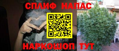 кокс Малоярославец