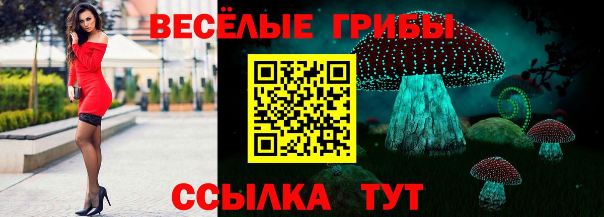 Галлюциногенные грибы Psilocybine cubensis Добрянка